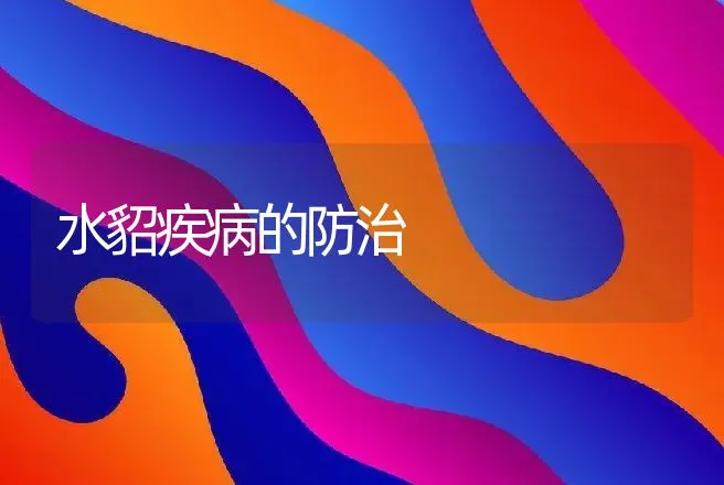 对仔猪健康有益的五种添加剂 | 动物养殖