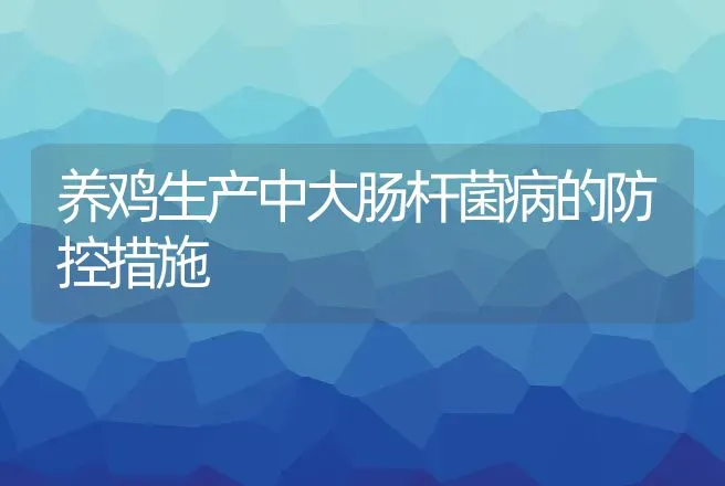 养鸡生产中大肠杆菌病的防控措施 | 动物养殖