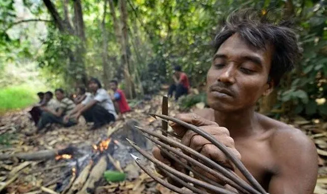 当地一种神奇的“植物”，竟然让这里的渔民每次都捕获颇丰 | 宠物新闻资讯