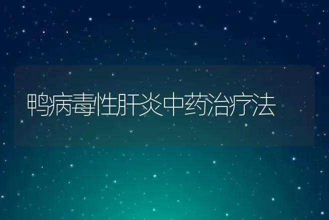 鸭病毒性肝炎中药治疗法 | 家禽养殖