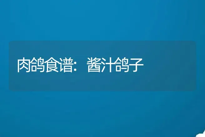 肉鸽食谱:酱汁鸽子 | 动物养殖