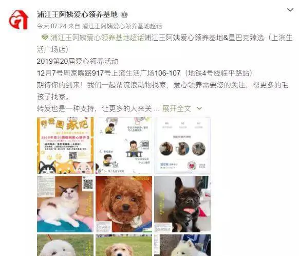 宠物店倒闭上百只猫狗被遗弃救助站... | 宠物新闻资讯