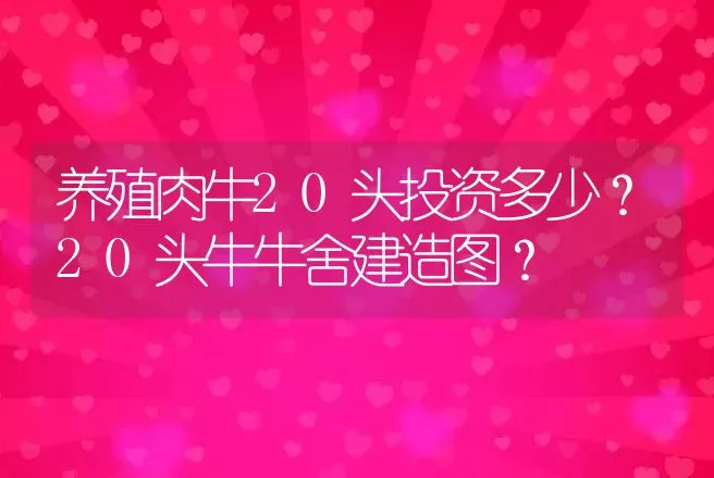 养殖肉牛20头投资多少？20头牛牛舍建造图？ | 养殖致富