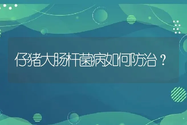 初秋鸡呼吸道病的预防及防治 | 兽医知识大全