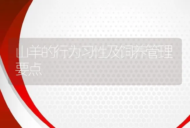 山羊的行为习性及饲养管理要点 | 动物养殖