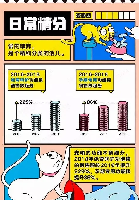 国货宠物粮食消费持续增长 或将成为宠物经济的下一个爆发点 | 宠物行业洞察