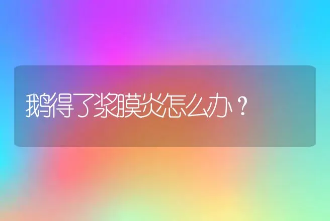 鹅得了浆膜炎怎么办？ | 家禽养殖