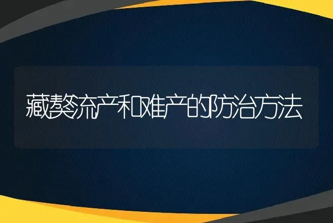 藏獒流产和难产的防治方法 | 动物养殖