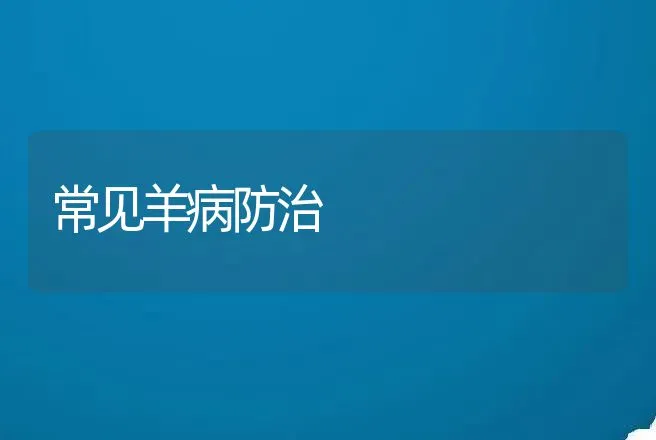 常见羊病防治 | 动物养殖