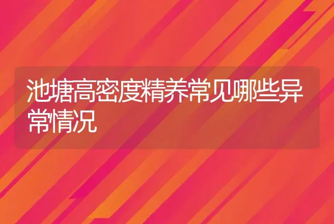 池塘高密度精养常见哪些异常情况 | 动物养殖