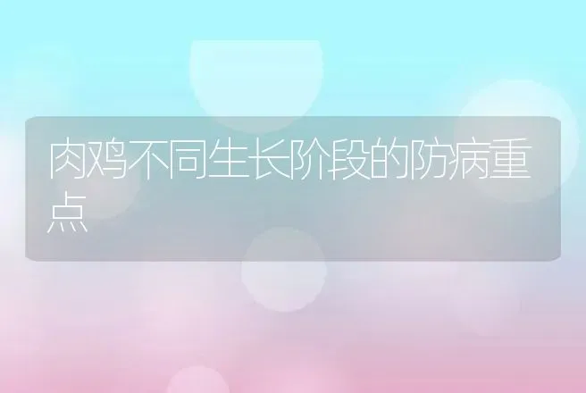 怎样防治鹌鹑慢性呼吸道病问题 | 动物养殖