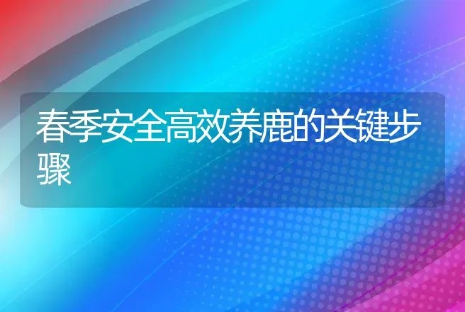 春季安全高效养鹿的关键步骤 | 动物养殖