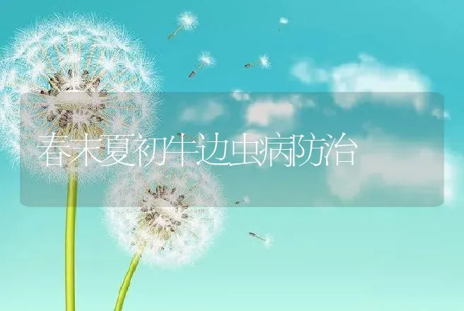 春末夏初牛边虫病防治 | 动物养殖