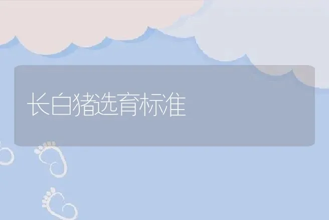 长白猪选育标准 | 家畜养殖