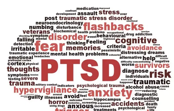 如果狗狗有这些表现，当心它可能患了PTSD | 宠物狗病虫害防治