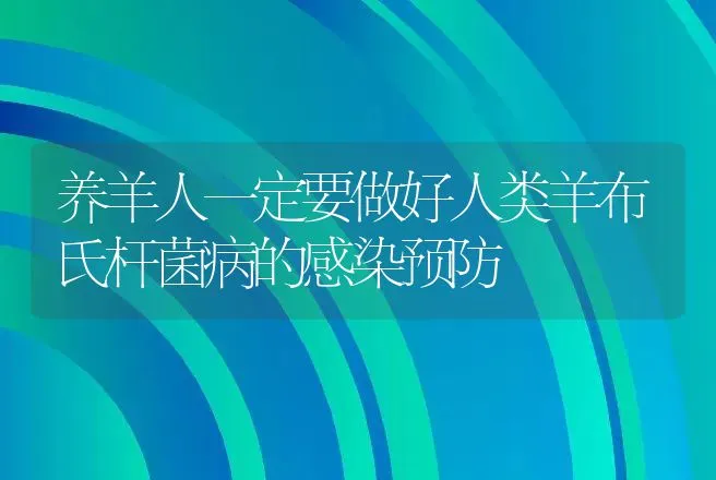 养羊人一定要做好人类羊布氏杆菌病的感染预防 | 家畜养殖