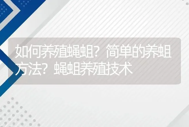 肉鸡喂预混料易引发的疾病分析 | 兽医知识大全