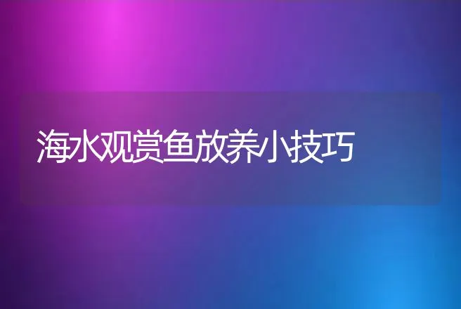 海水观赏鱼放养小技巧 | 动物养殖