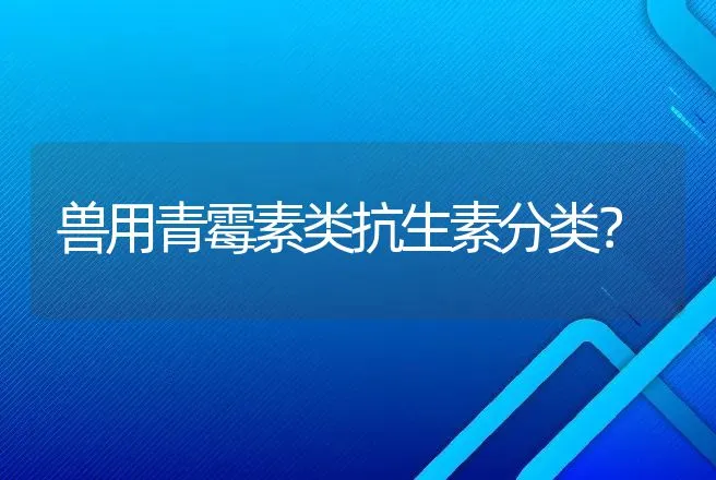 兽用青霉素类抗生素分类？ | 动物养殖