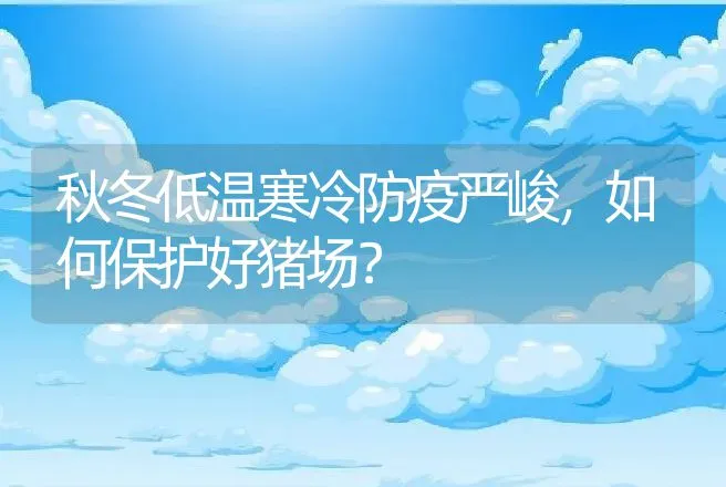 秋冬低温寒冷防疫严峻，如何保护好猪场？ | 家畜养殖