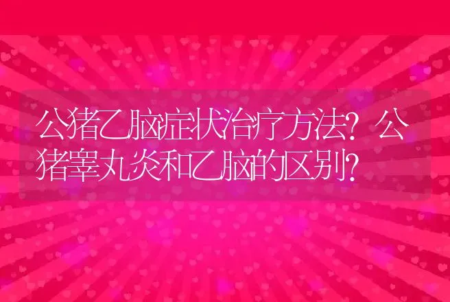 公猪乙脑症状治疗方法？公猪睾丸炎和乙脑的区别？ | 兽医知识大全