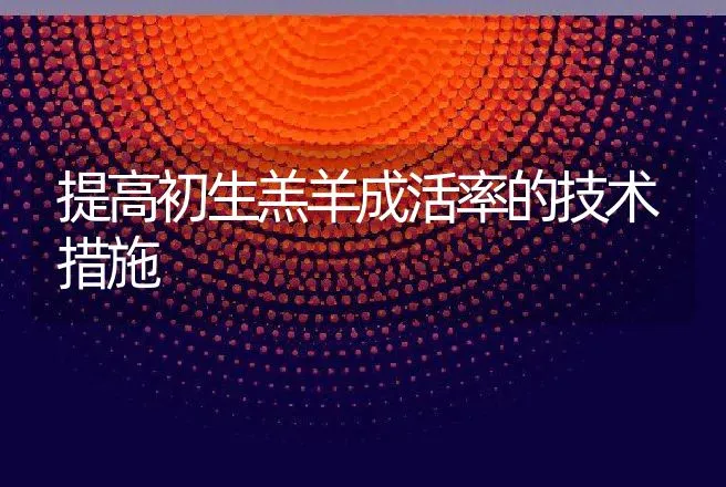 提高初生羔羊成活率的技术措施 | 动物养殖