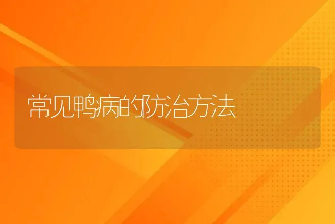 常见鸭病的防治方法 | 家禽养殖