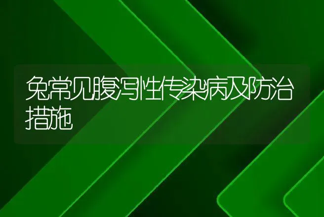 兔常见腹泻性传染病及防治措施 | 动物养殖