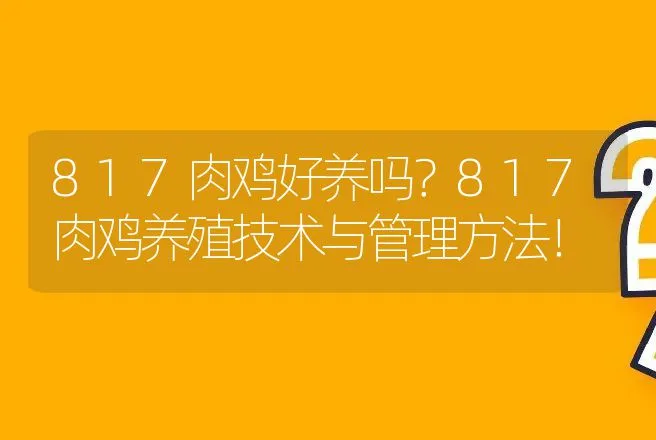 817肉鸡好养吗？817肉鸡养殖技术与管理方法！ | 家禽养殖