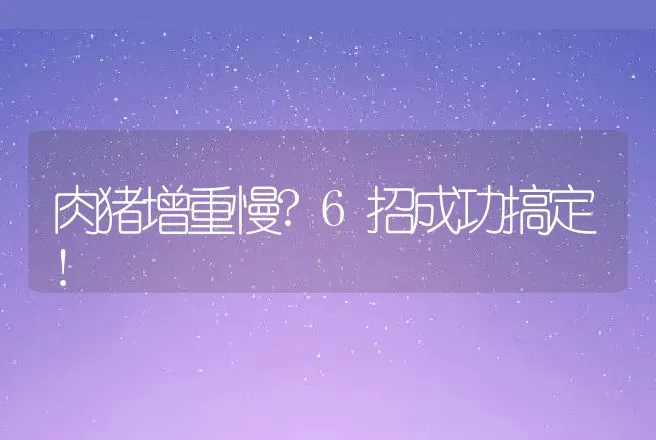 肉猪增重慢?6招成功搞定! | 家畜养殖