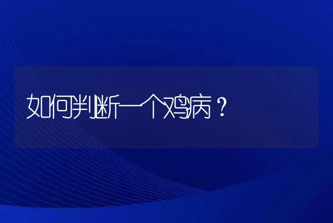 如何判断一个鸡病？ | 兽医知识大全