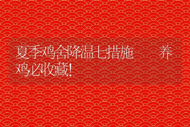 夏季鸡舍降温七措施  养鸡必收藏！ | 家禽养殖