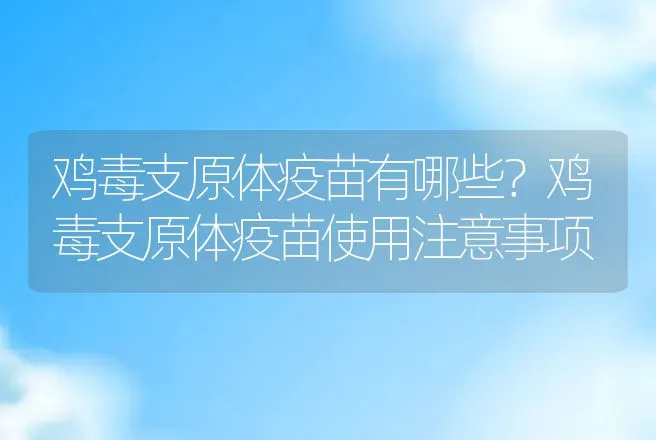 鸡毒支原体疫苗有哪些？鸡毒支原体疫苗使用注意事项 | 兽医知识大全