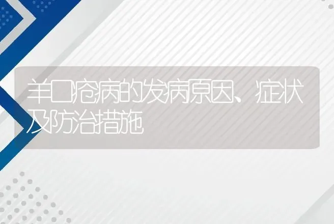 羊口疮病的发病原因、症状及防治措施 | 家畜养殖