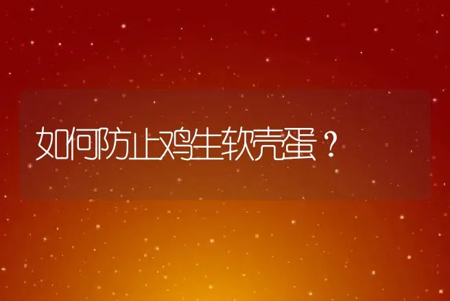 如何防止鸡生软壳蛋？ | 家禽养殖