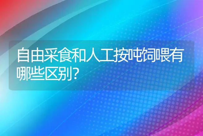 自由采食和人工按吨饲喂有哪些区别？ | 家畜养殖