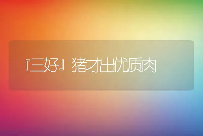 『三好』猪才出优质肉 | 动物养殖