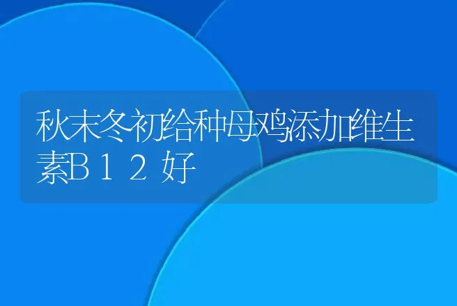 母犬发情期间的特殊护理 | 动物养殖