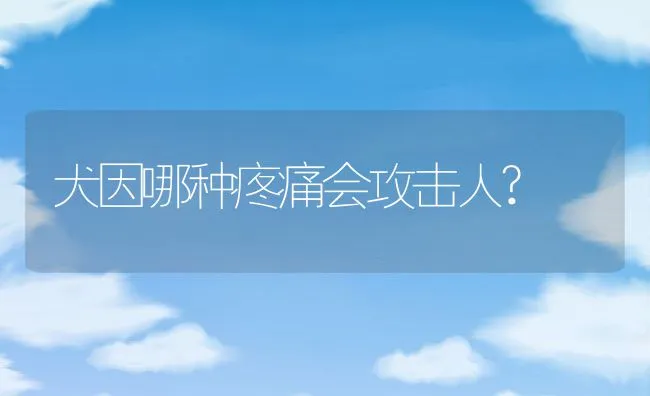 犬因哪种疼痛会攻击人? | 宠物病虫害