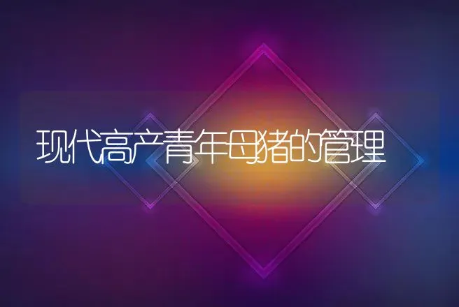 现代高产青年母猪的管理 | 动物养殖