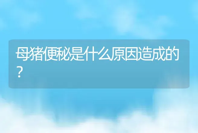 母猪便秘是什么原因造成的？ | 兽医知识大全