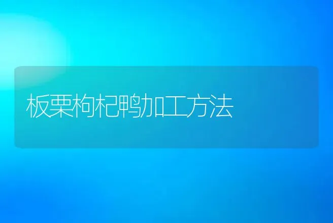 板栗枸杞鸭加工方法 | 动物养殖