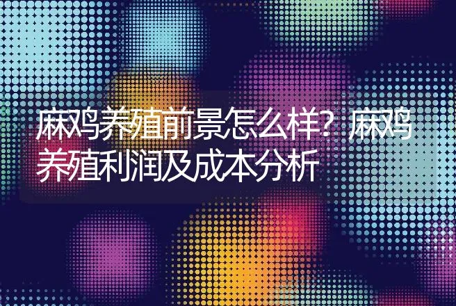 乌鸡怎么养？乌鸡养殖技术管理的方法有哪些? | 家禽养殖