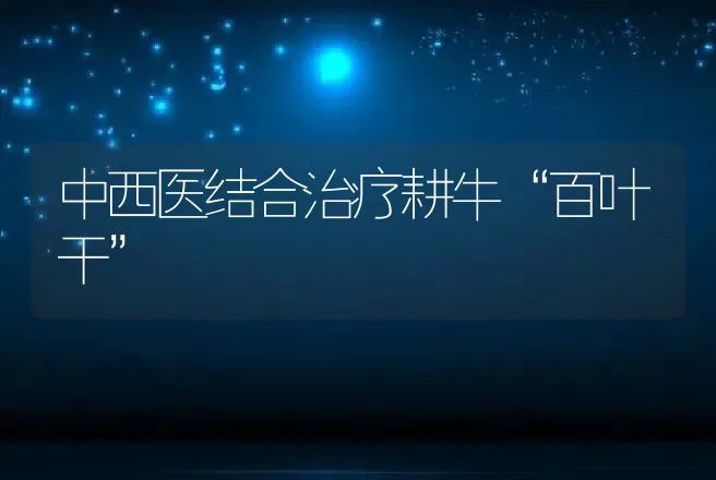 中西医结合治疗耕牛“百叶干” | 动物养殖