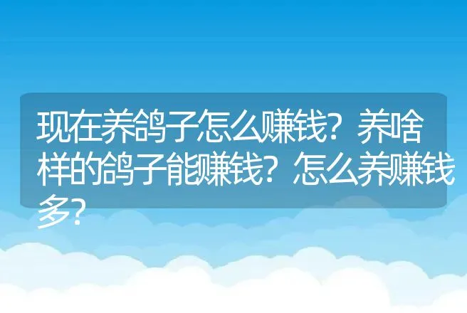 现在养鸽子怎么赚钱？养啥样的鸽子能赚钱？怎么养赚钱多？ | 特种养殖