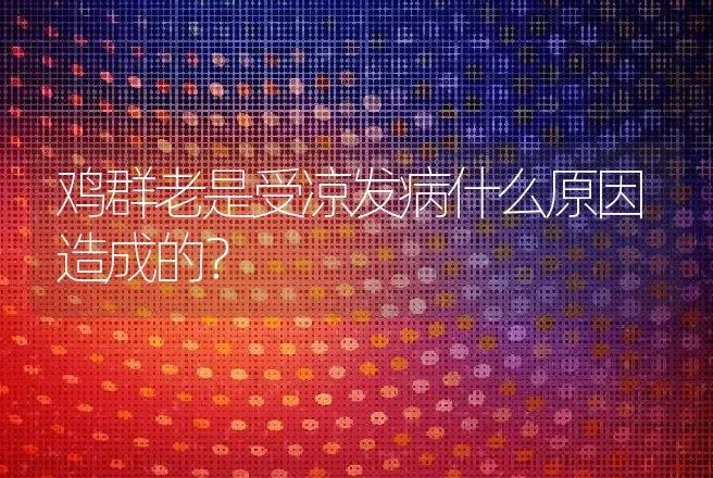 鸡群老是受凉发病什么原因造成的？ | 兽医知识大全