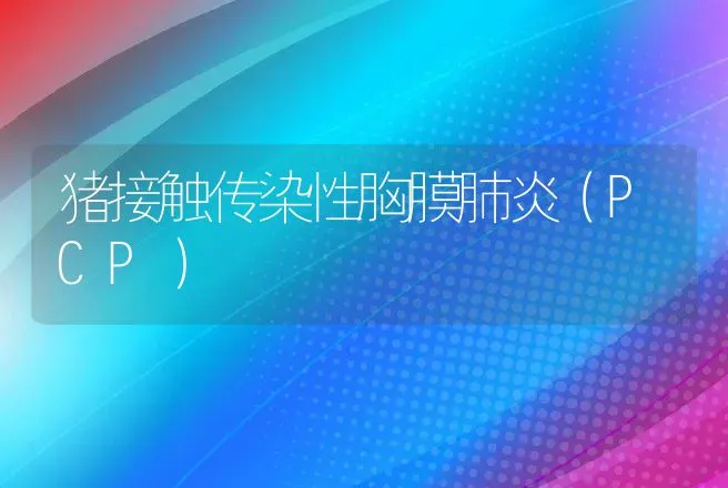 自配蛋鸡饲料应注意的问题 | 动物养殖