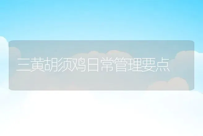 三黄胡须鸡日常管理要点 | 动物养殖