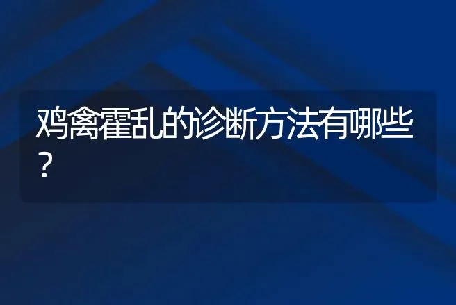 鸡禽霍乱的诊断方法有哪些？ | 兽医知识大全