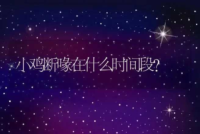 小鸡断喙在什么时间段？ | 家禽养殖